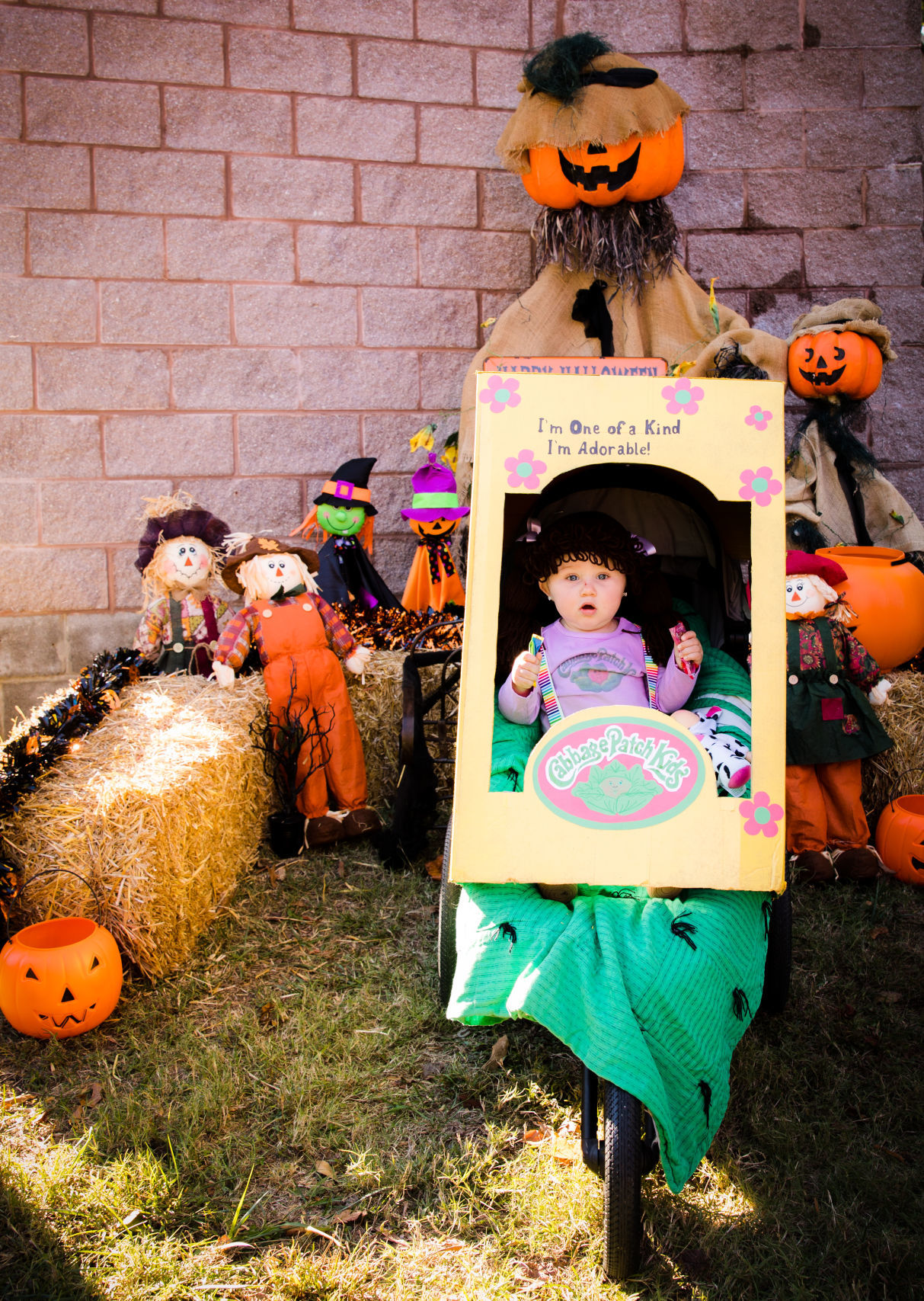 Pumpkins in the Park